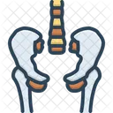 Hip Pelvis Skeleton Icon