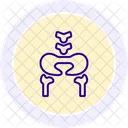 Hip Bones Line Icon Icon