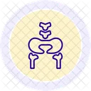 Hip Bones Line Icon Icon
