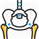 Hip Bone Loin Icon