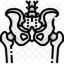 Hip Bone Organ Icône