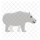 Hipopotamus  Icon