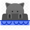 Hippo Water Icon