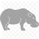 Hippo Common Hippopotamus Mammal Icon