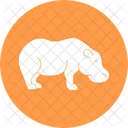 Hippo Common Hippopotamus Mammal Icon