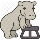 Hippo Show Animal Icon