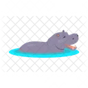 Hippo Hippopotamus Water Icon