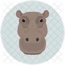 Animal Hippo Hippopotamus Icon