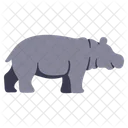 Flat Hippopotamus Icon