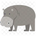 Hippopotamus  アイコン