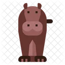 Hippopotamus Animal Zoo Icon