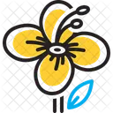 Hiptage Evergreen Shrubs Icon