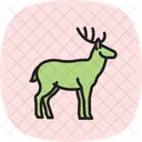 Reh Symbol