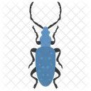 Hirschkafer Insekt Skarabaus Symbol