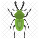 Hirschkafer Insekt Skarabaus Symbol