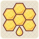 Hive Honeycomb Bee Icon