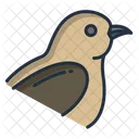 Hoatzin Birds Bird Icon