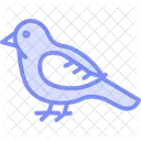 Hobby Bird Falcon Icon