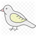Hobby Bird Falcon Icon