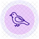 Hobby Bird Falcon Icon