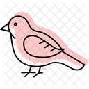Hobby Bird Falcon Icon
