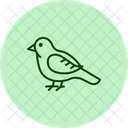 Hobby Bird Falcon Icon
