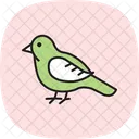 Hobby Bird Falcon Icon