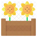 Hochbeet Blumen Sonnenblume Icon