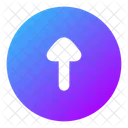 Upload Kreis Symbol