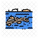 Hochwasser Schutt Wasser Symbol