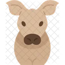 Hog Pig Livestock Icon