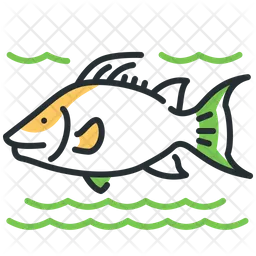 Hogfish  Icon