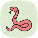 Hognose Snake Hognosesnake Reptile Icon