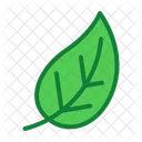 Eco Hoja Planta Icono