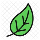 Eco Hoja Planta Icono