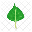 Hoja Arbol Follaje Icon