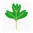 Hoja Arbol Follaje Icon