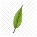 Hoja Naturaleza Planta Icon