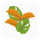 Hoja Naturaleza Planta Icon