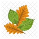 Hoja Naturaleza Planta Icon