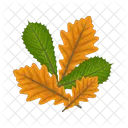 Hoja Naturaleza Planta Icon