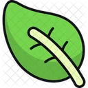 Hoja Follaje Planta Icono