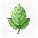 Hoja Naturaleza Planta Icono