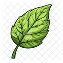 Hoja Naturaleza Planta Icono