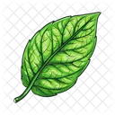 Hoja Naturaleza Planta Icono