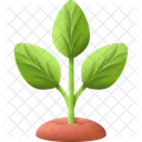 Hoja Naturaleza Planta Icono