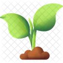 Hoja Naturaleza Planta Icono