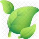 Hoja Naturaleza Planta Icono