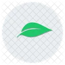 Hoja Naturaleza Eco Icono