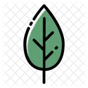 Hoja Arbol Ecologia Icono
